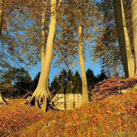 Historic House By The Baltic Sea On Falster Nykøbing Falster